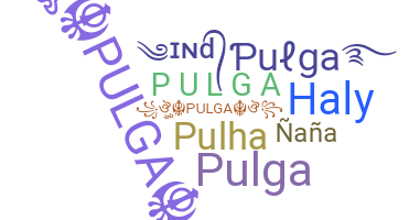Surnom - Pulga