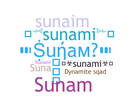 Surnom - Sunami