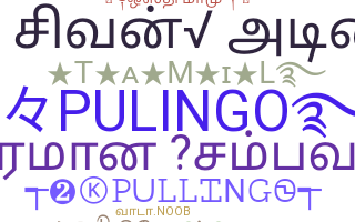 Surnom - Pulingo