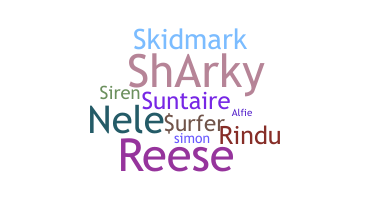 Surnom - Surfer