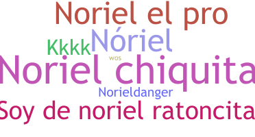 Surnom - Noriel