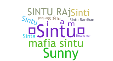 Surnom - sintu