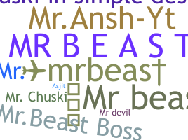 Surnom - mr.beast
