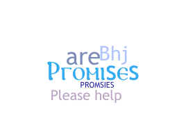 Surnom - Promises