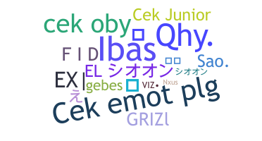 Surnom - cek