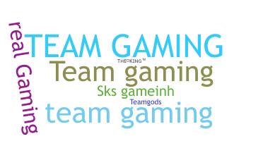 Surnom - TeamGaming