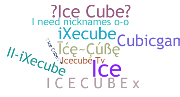 Surnom - icecube