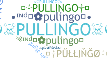 Surnom - Pullingo