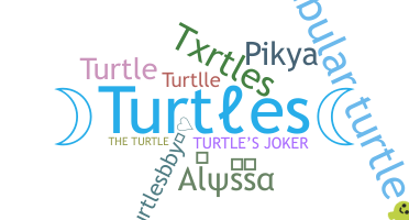 Surnom - Turtles